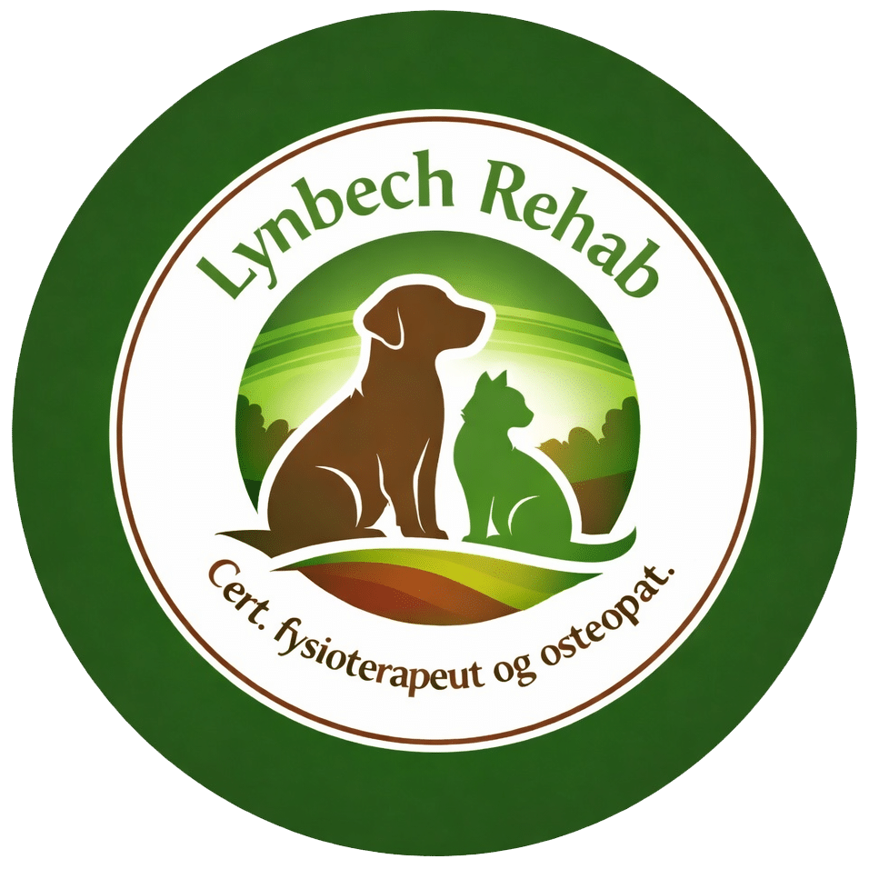 Lynbech Rehab